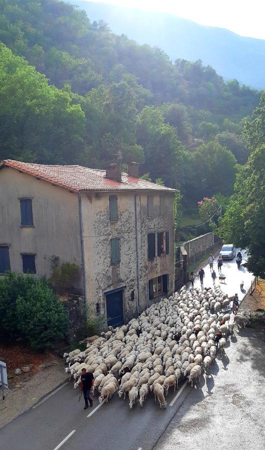 Auberge Cevenole Valleraugue Εξωτερικό φωτογραφία