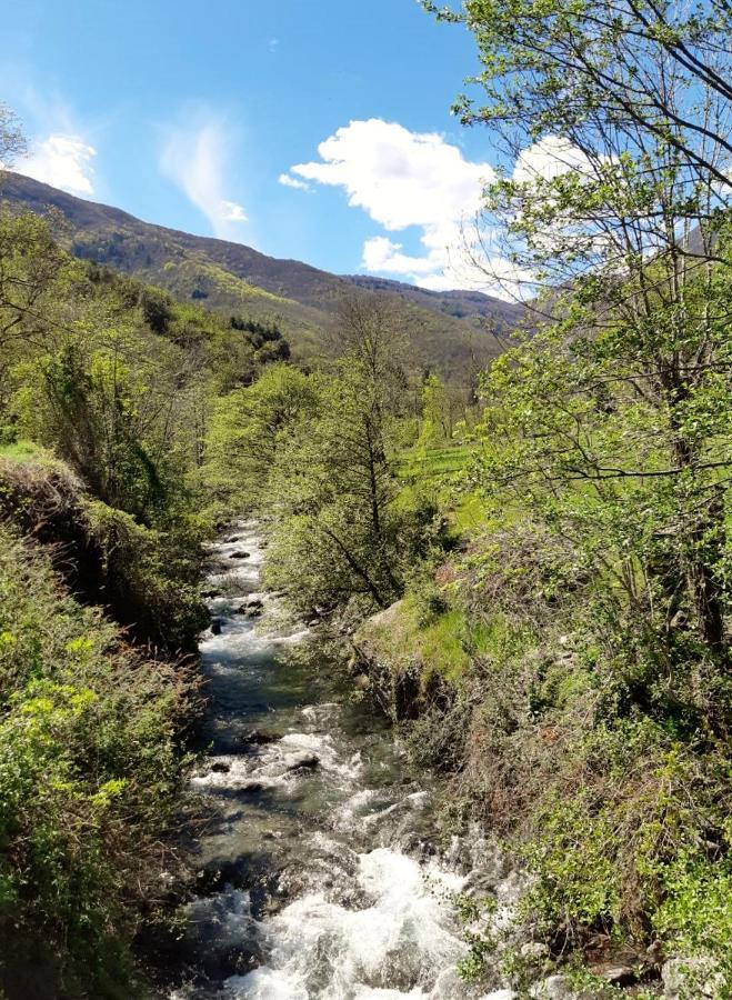 Auberge Cevenole Valleraugue Εξωτερικό φωτογραφία